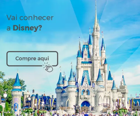 VPC - Site - Imagem - Passagem Disney