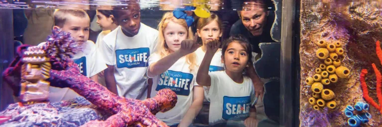 Post Sea Life Aquarium VPC